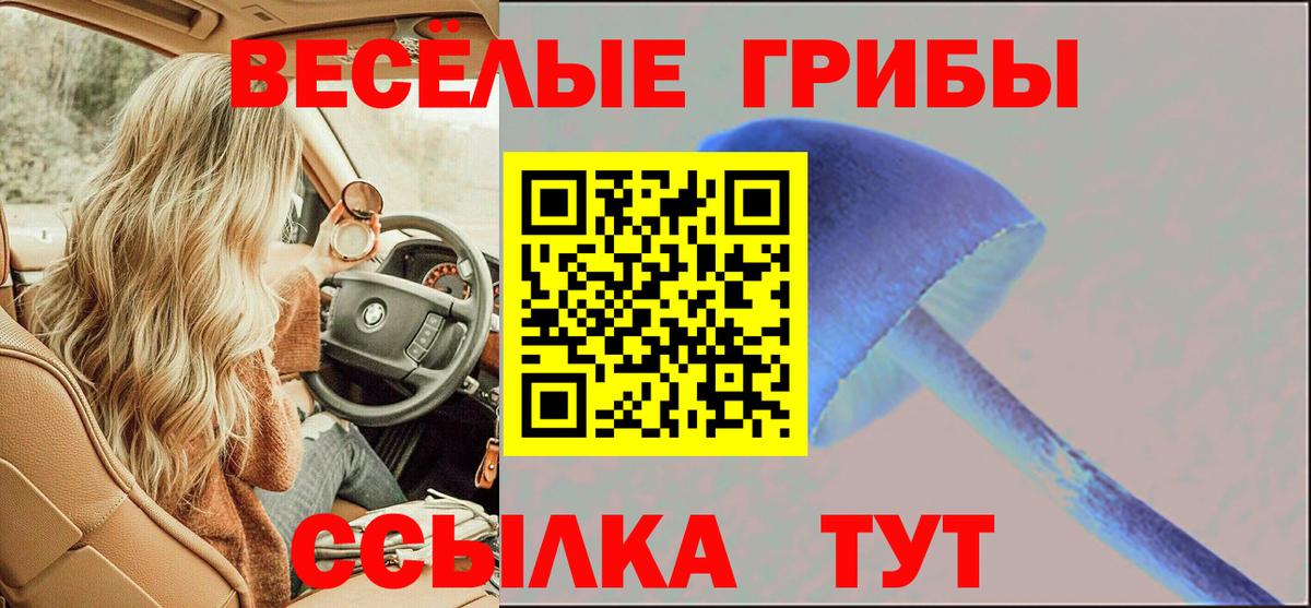 Псилоцибиновые грибы MAGIC MUSHROOMS Нефтекумск